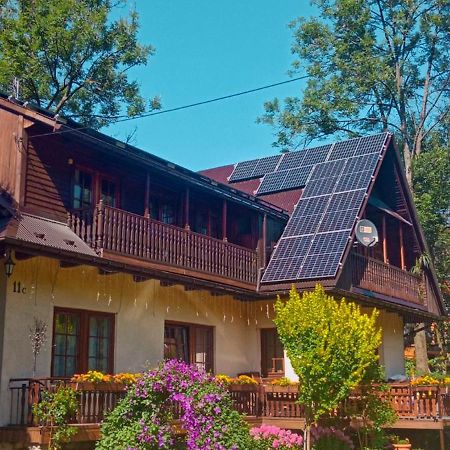 Wynajem Pokoi Goscinnych Zakopane Buitenkant foto