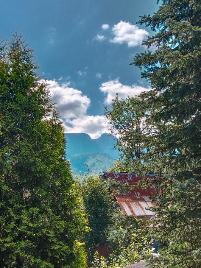 Wynajem Pokoi Goscinnych Zakopane Buitenkant foto