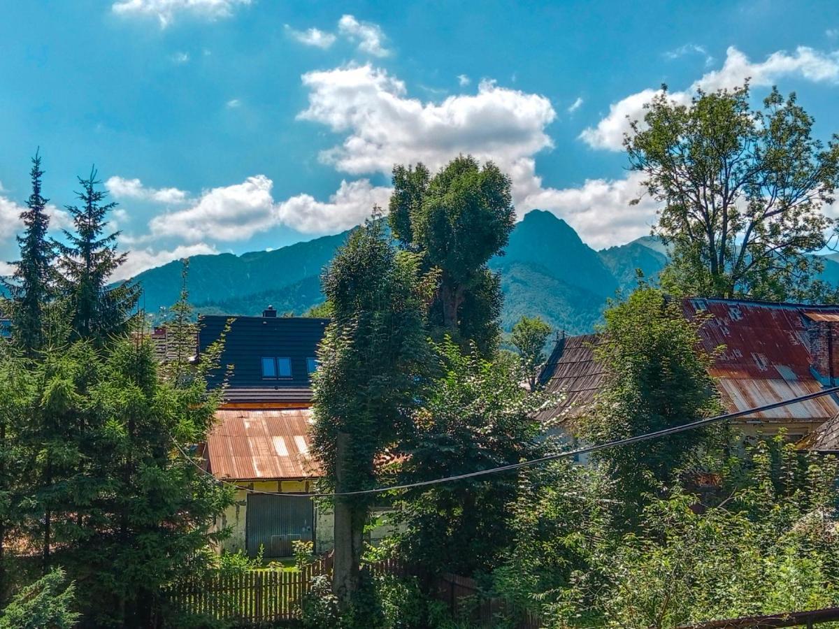 Wynajem Pokoi Goscinnych Zakopane Buitenkant foto