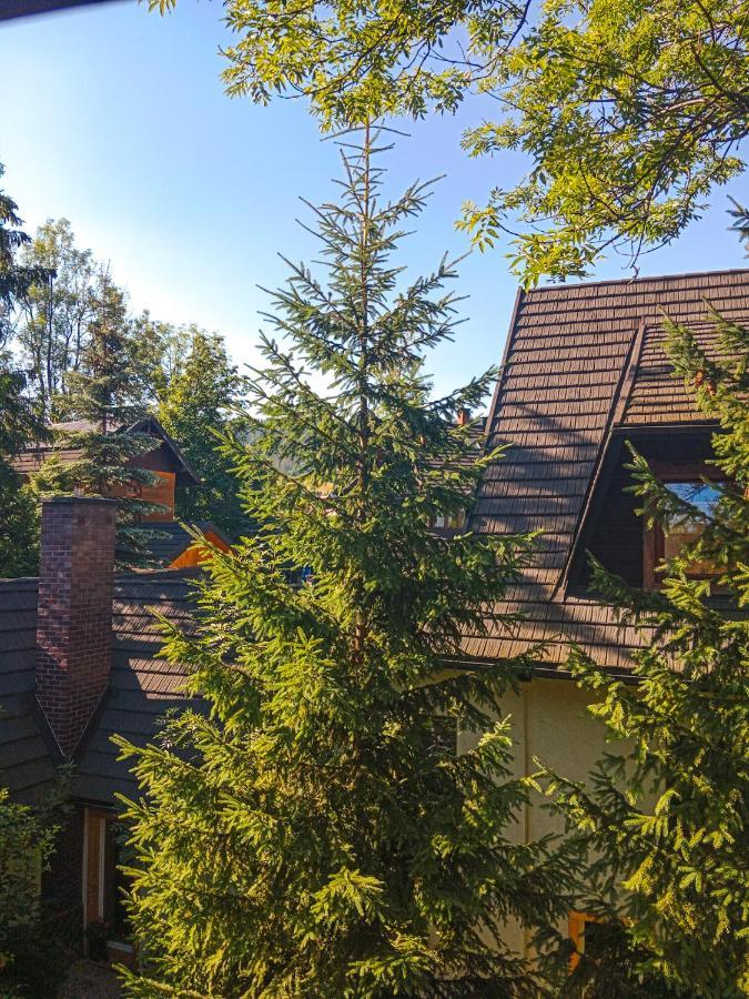 Wynajem Pokoi Goscinnych Zakopane Buitenkant foto